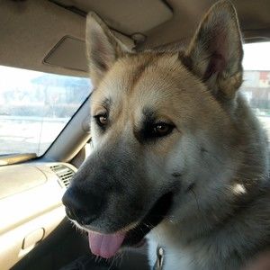 Meet your Posher, Handsome